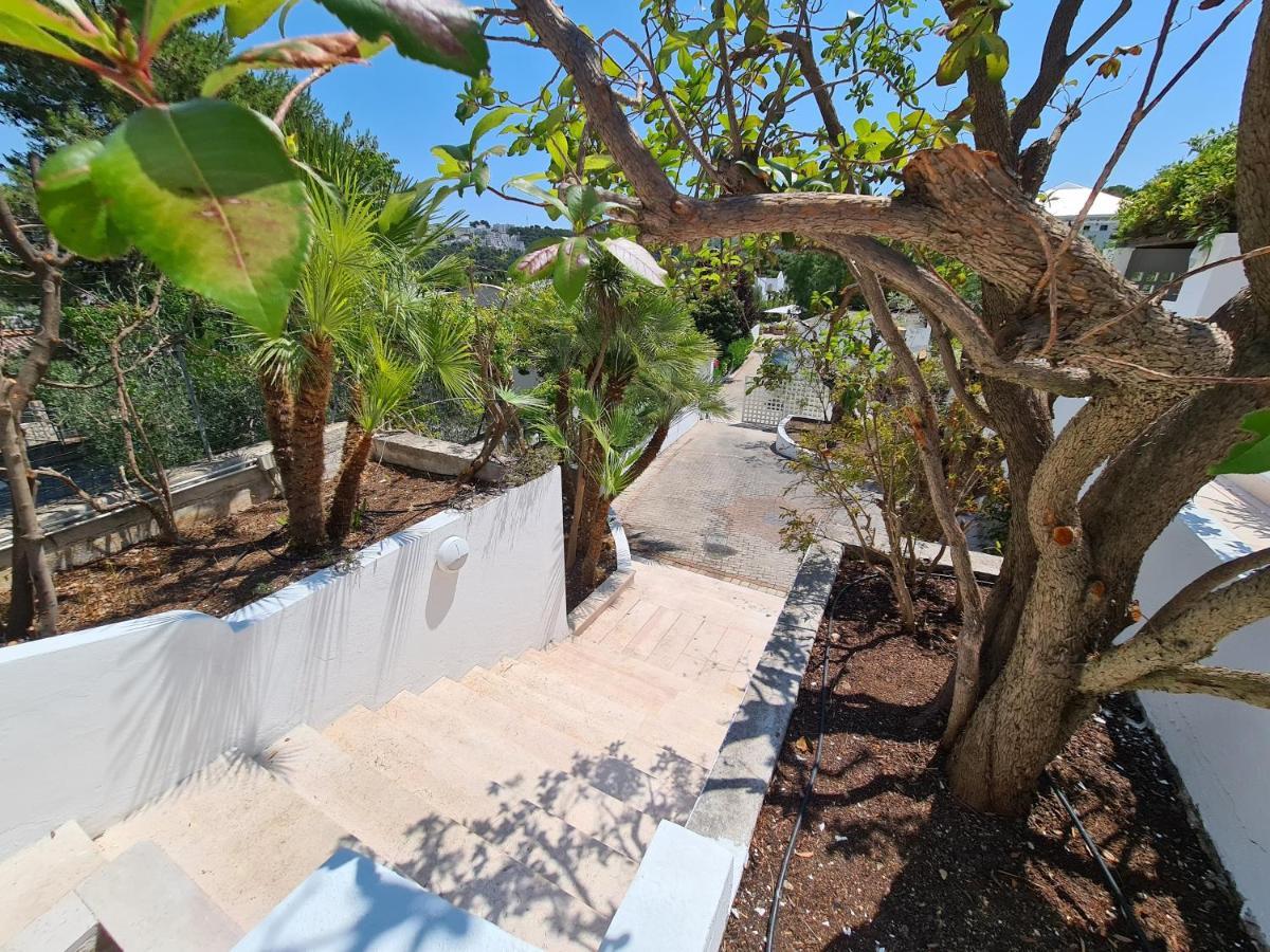 פסקיצ'י Villa Maritalia מראה חיצוני תמונה